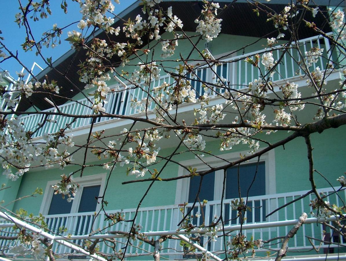 Hotel Pansion Devotions Međugorje Zewnętrze zdjęcie